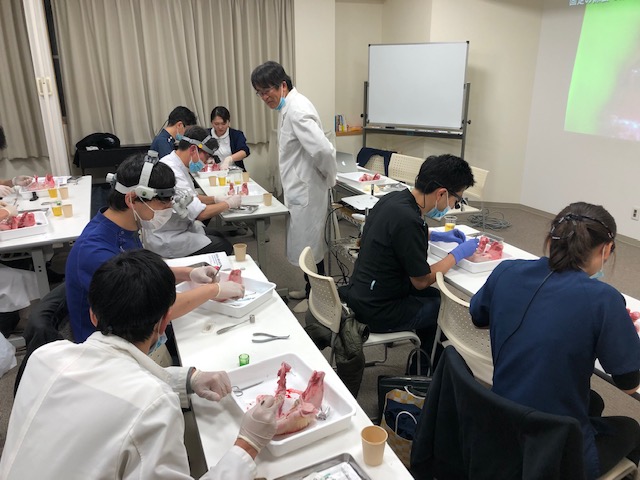 平成31年3月6日,7日 外科手術実習を行いました。